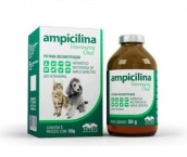 ampicilina oral