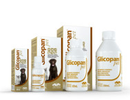 Pack-Glicopan-Pet-340x261