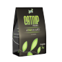 Foto 01: CatNip – A Erva do Gato