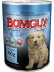 bomguy_filhotemaior-e1541697493464