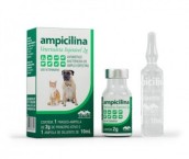 ampicilina injetavel