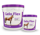 Geloflex1