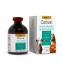 Foto 01: Cortvet